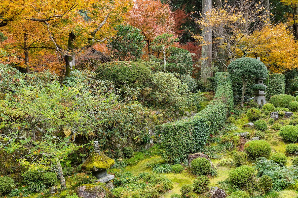 Miért nem fogja senki megoldani helyettünk a klímaváltozást?